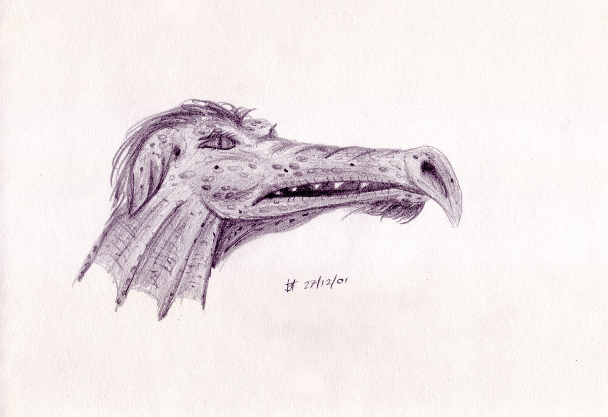 Drawing of a dragons head