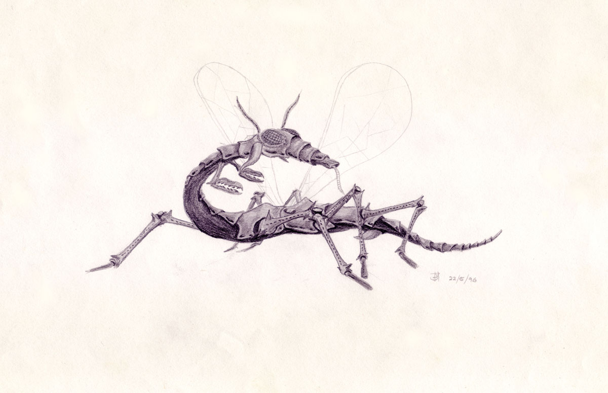 Drawing of an insectoid alien worker