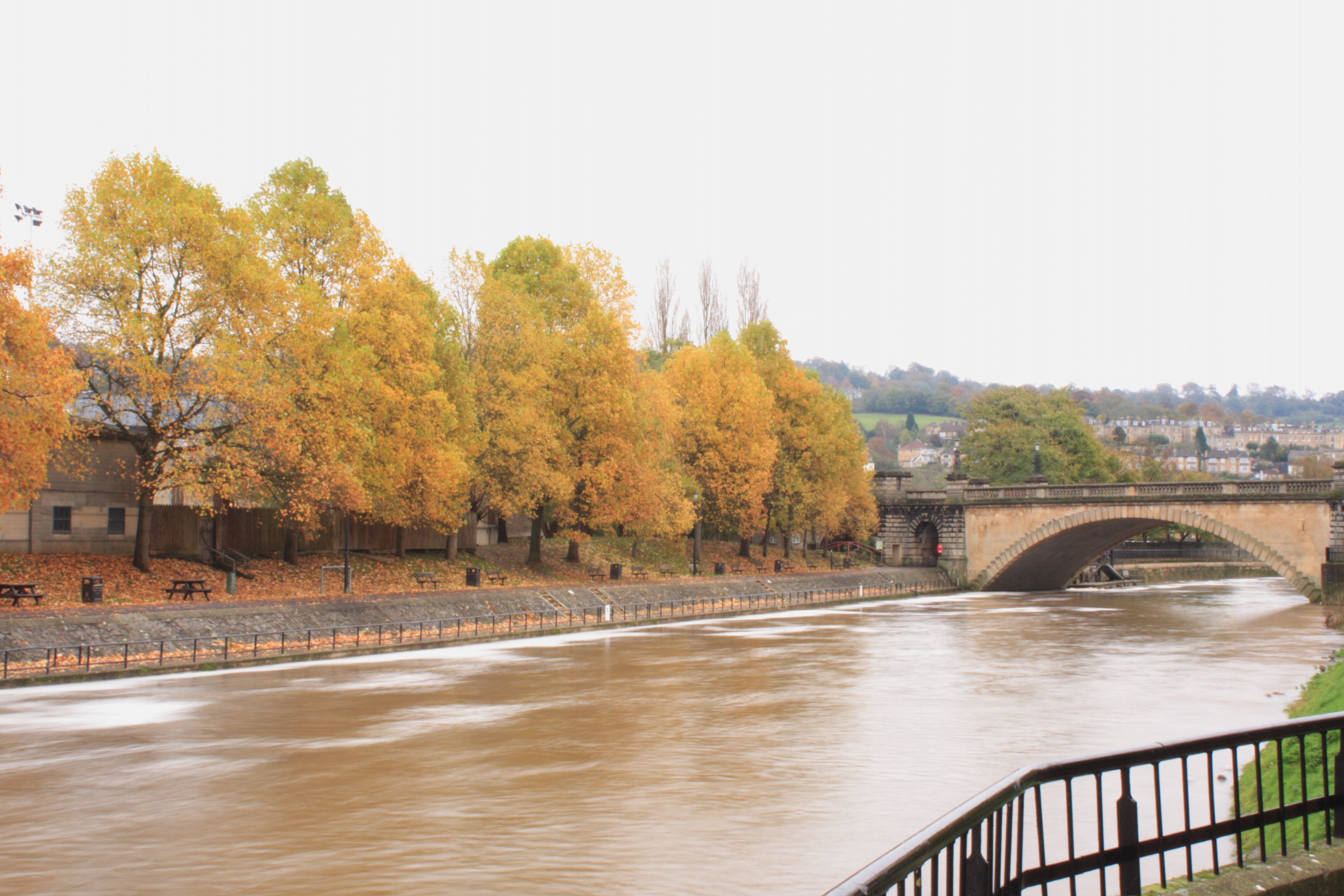 Autumnal colours by the river edge
