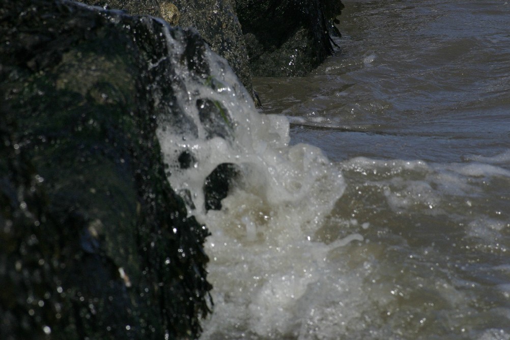Waves crashing against seeweed encrusted rocks.