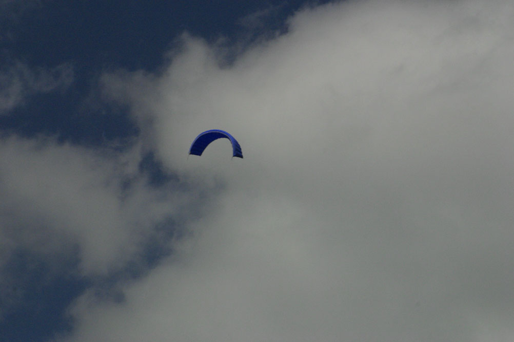 Kite flying in Hyde Park